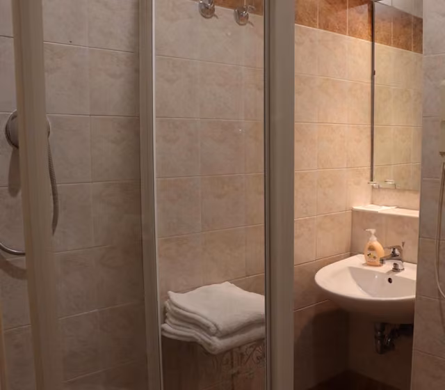 Bagno privato di una camera con lavandino e specchio